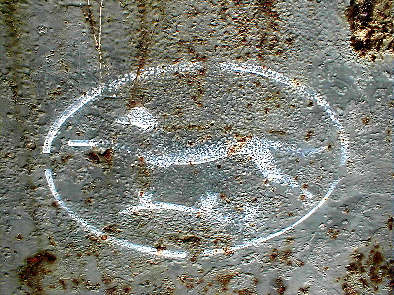 Panzer V Panther WWII Houffalize Belgique