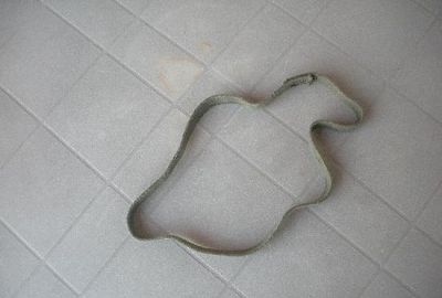 banda elástica USA Vietnam