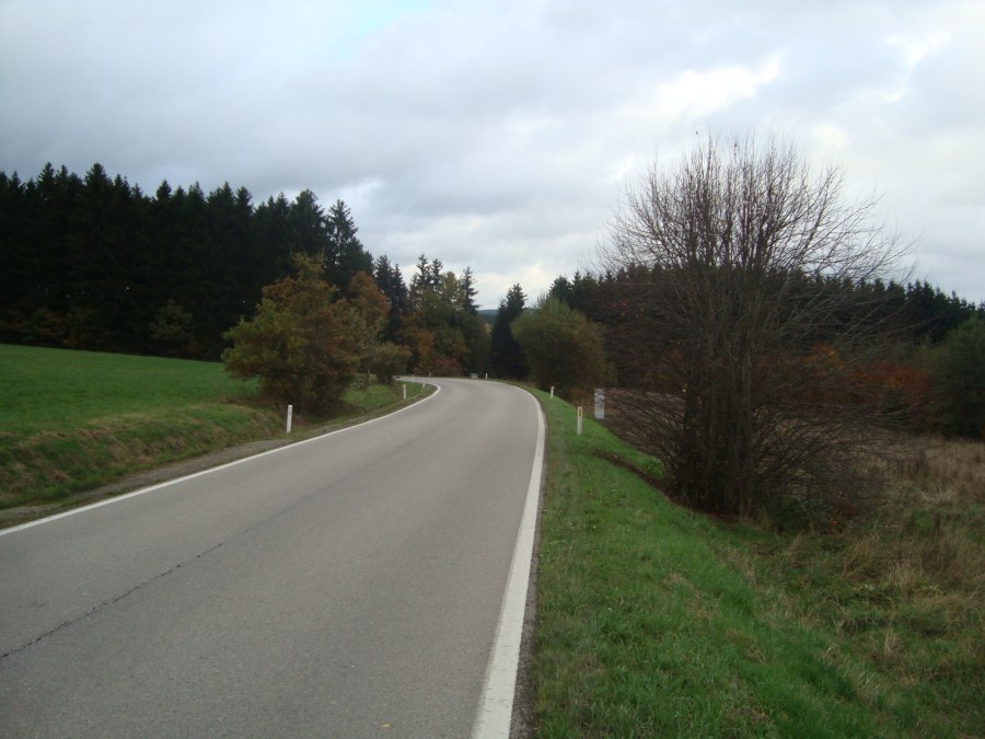 emboscada Poteau Ardenas 1944 WWII militarialagleize1944