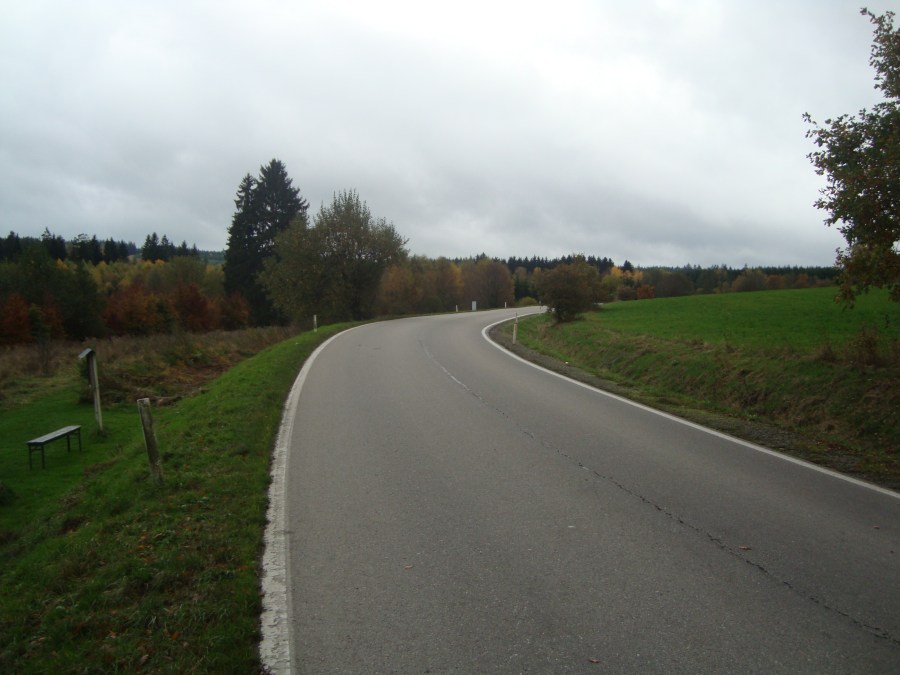 emboscada Poteau Ardenas 1944 WWII militarialagleize1944