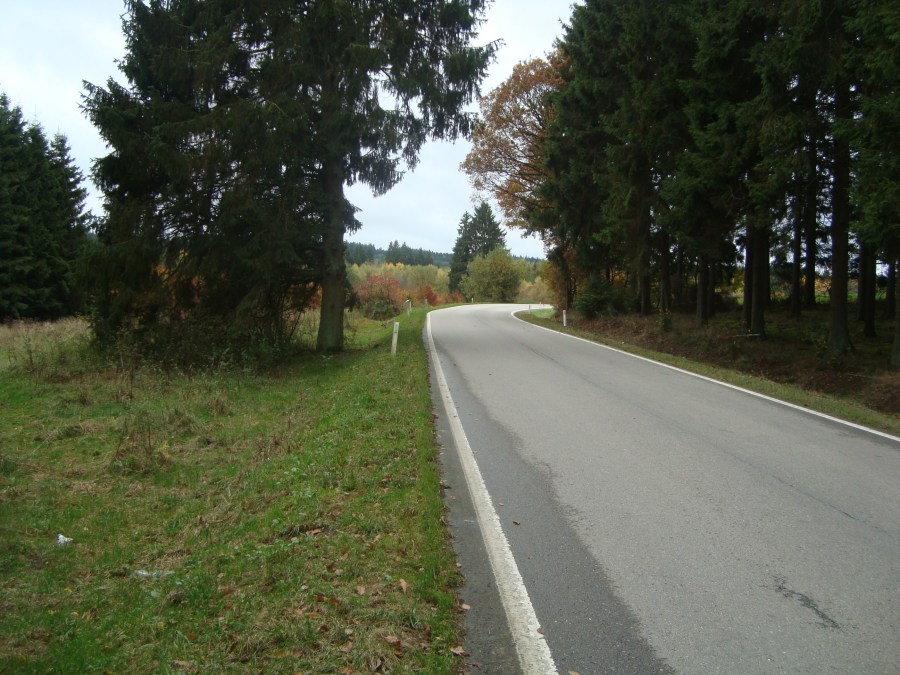 emboscada Poteau Ardenas 1944 WWII militarialagleize1944