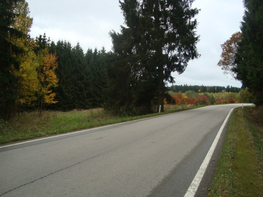 emboscada Poteau Ardenas 1944 WWII militarialagleize1944