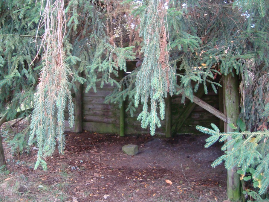 emboscada Poteau Ardenas 1944 WWII militarialagleize1944