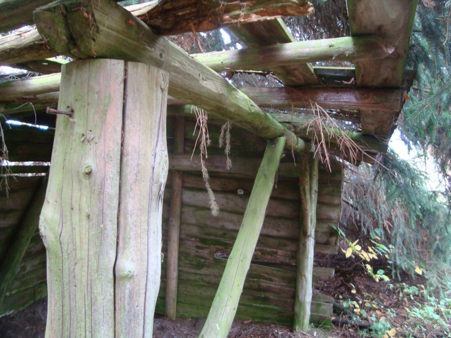 emboscada Poteau Ardenas 1944 WWII militarialagleize1944