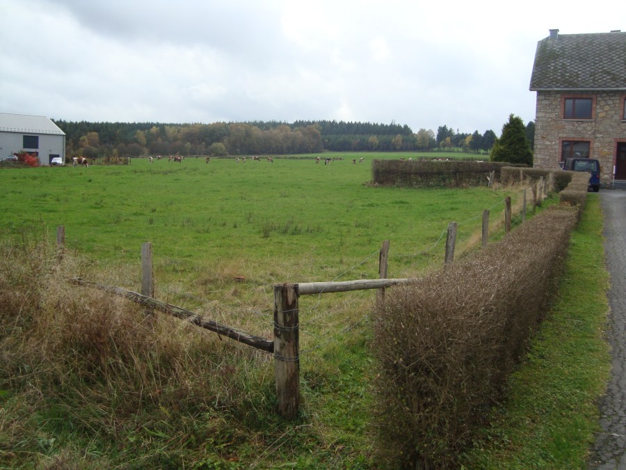 masacre Malmedy WWII Belgica militarialagleize1944