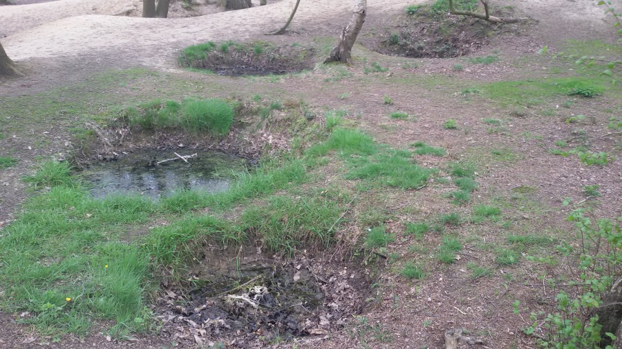 Hill62-trenches-Ypres-WWI-Belgium (1)