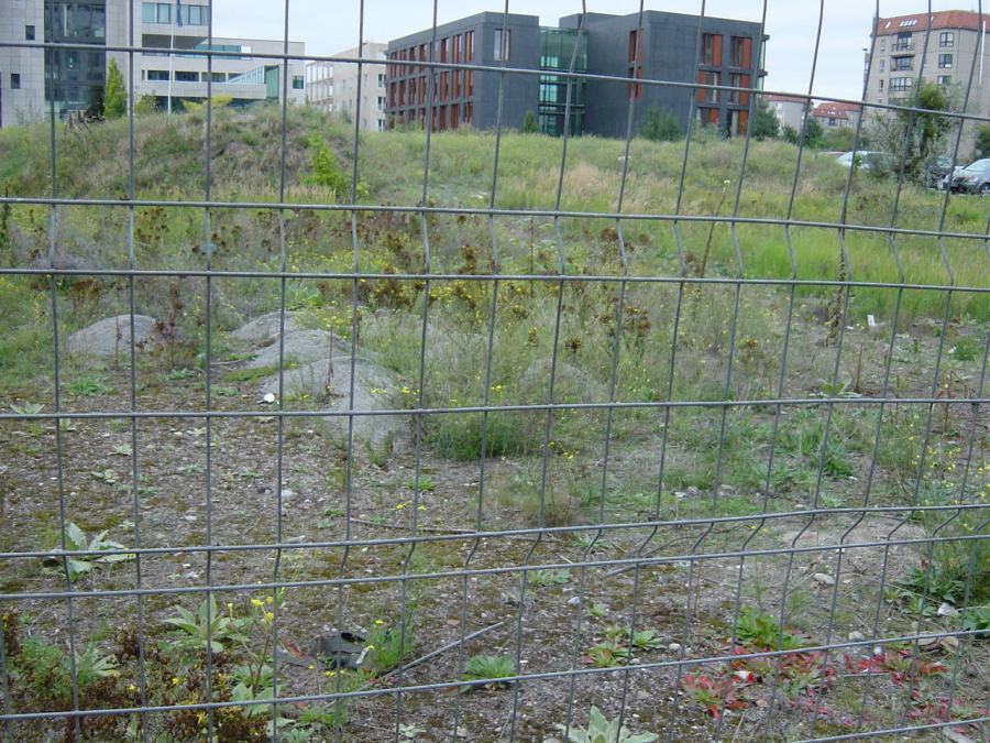 nueva cancilleria iii reich alemania wwii