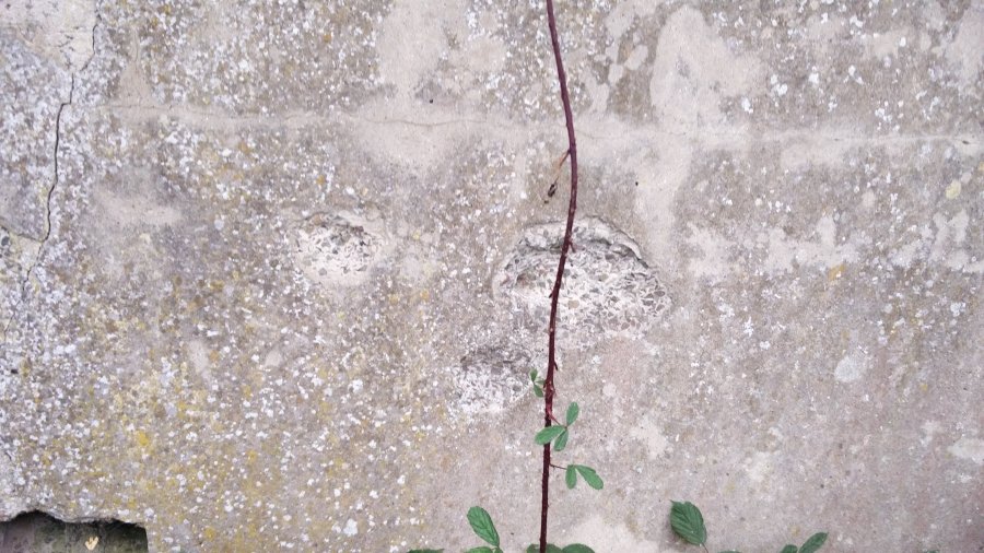 operation-Greif-Ardenas-Alemania-WWII