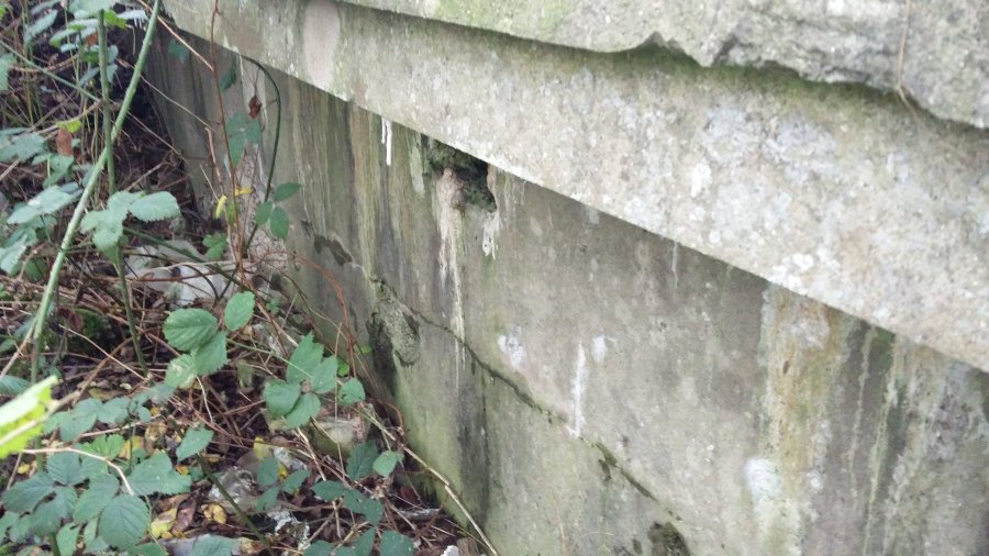 operation-Greif-Ardenas-Alemania-WWII