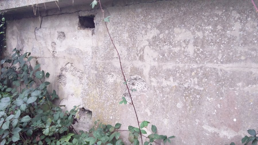 operation-Greif-Ardenas-Alemania-WWII