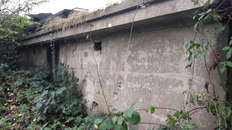 operation-Greif-Ardenas-Alemania-WWII