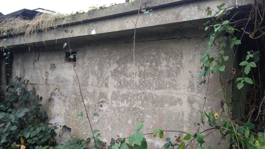 operation-Greif-Ardenas-Alemania-WWII