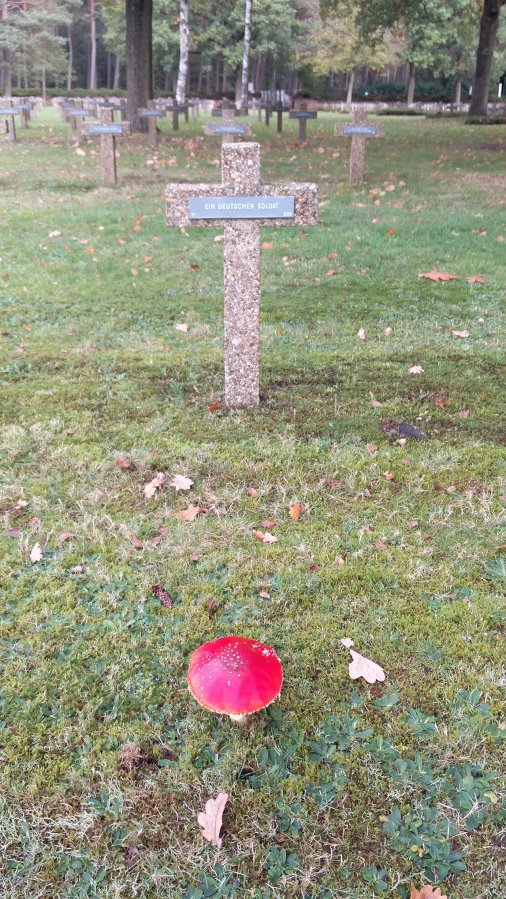 cementerio militar Alemán Lommel Bélgica WWII