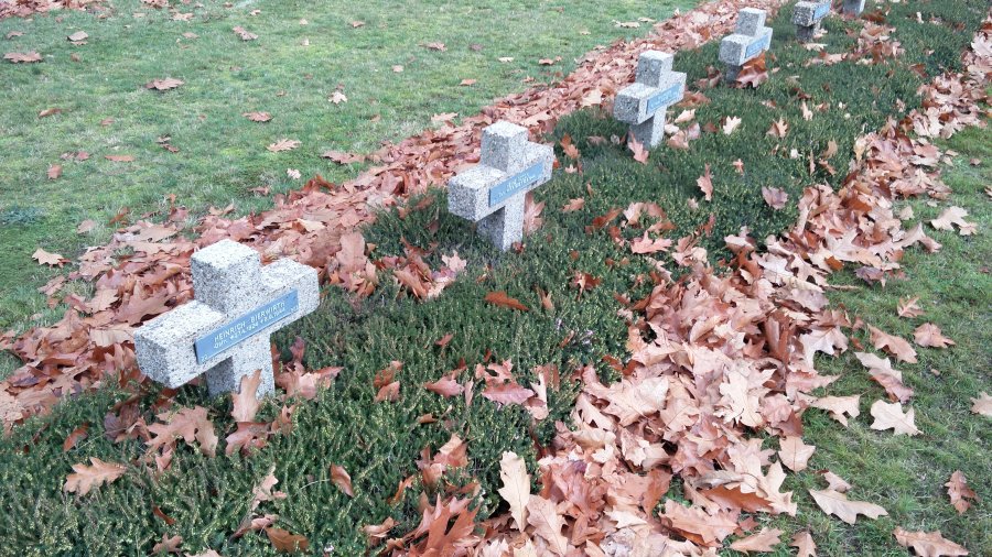 cementerio militar Alemán Lommel Bélgica WWII