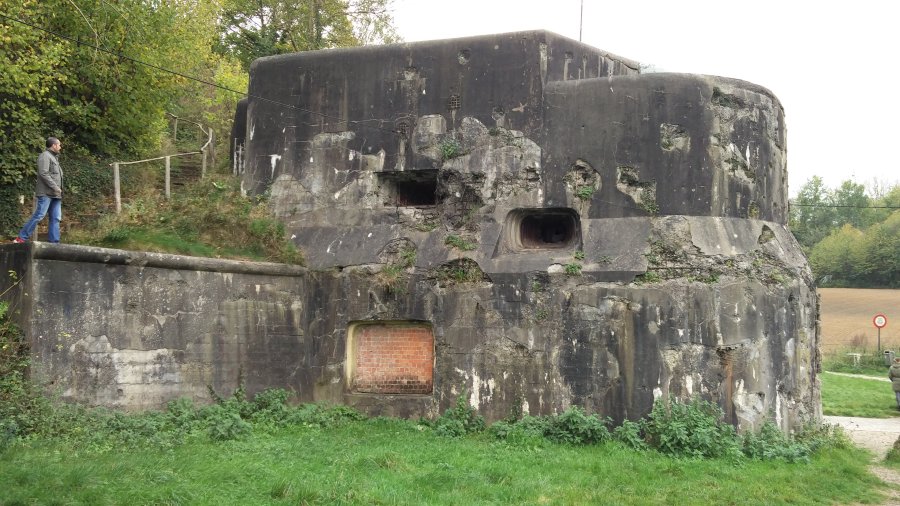 fuerte Eben Email Belgica