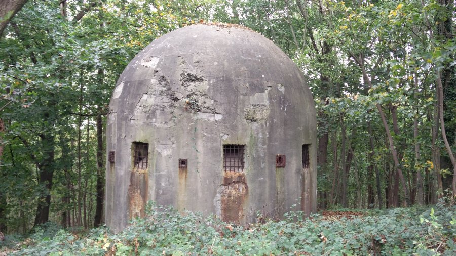 fuerte Eben Email Belgica