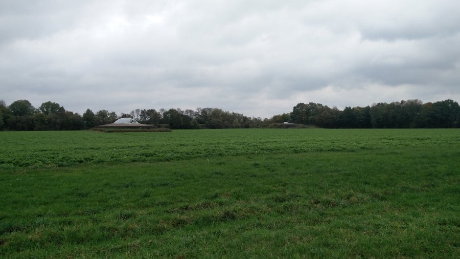 fuerte Eben Email Belgica