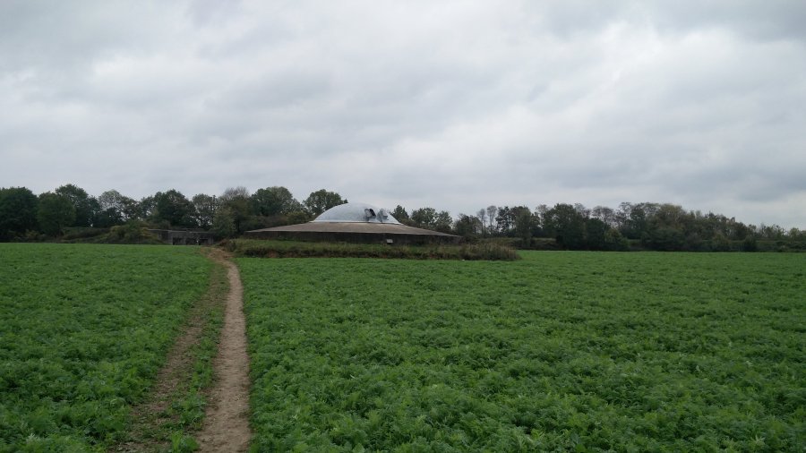 fuerte Eben Email Belgica