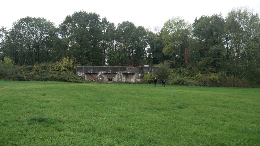 fuerte Eben Email Belgica