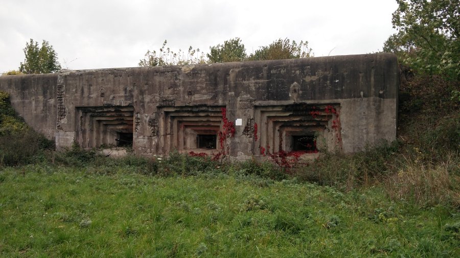 fuerte Eben Email Belgica