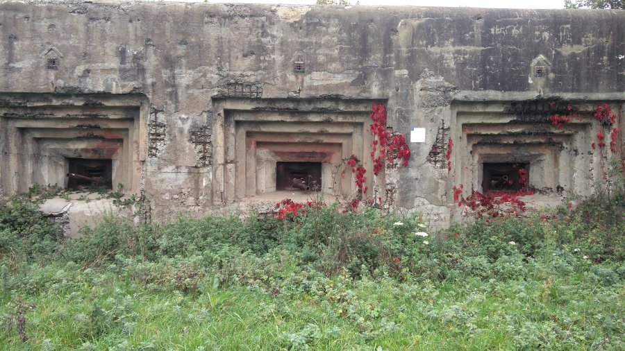 fuerte Eben Email Belgica