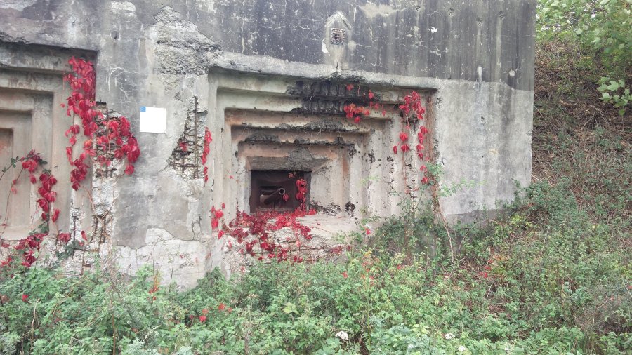 fuerte Eben Email Belgica