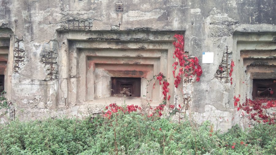 fuerte Eben Email Belgica