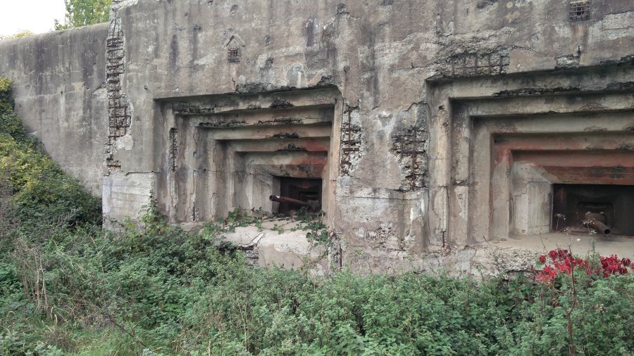 fuerte Eben Email Belgica