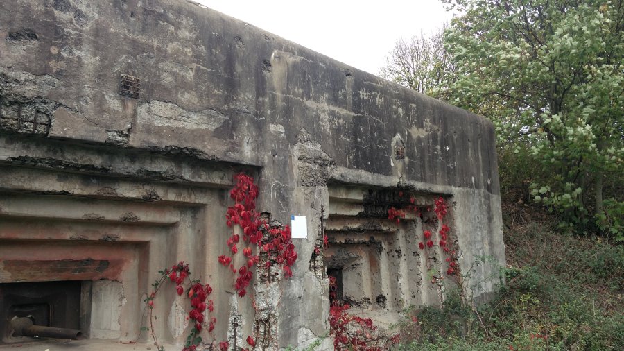 fuerte Eben Email Belgica