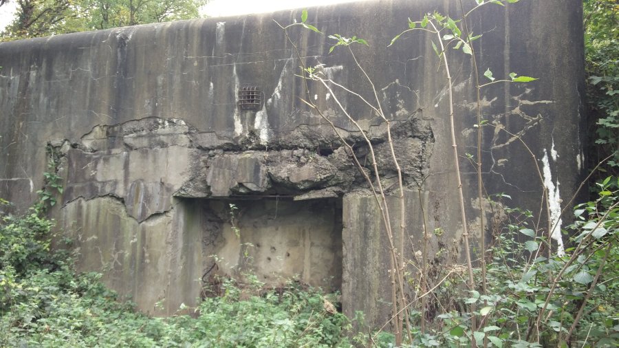 fuerte Eben Email Belgica