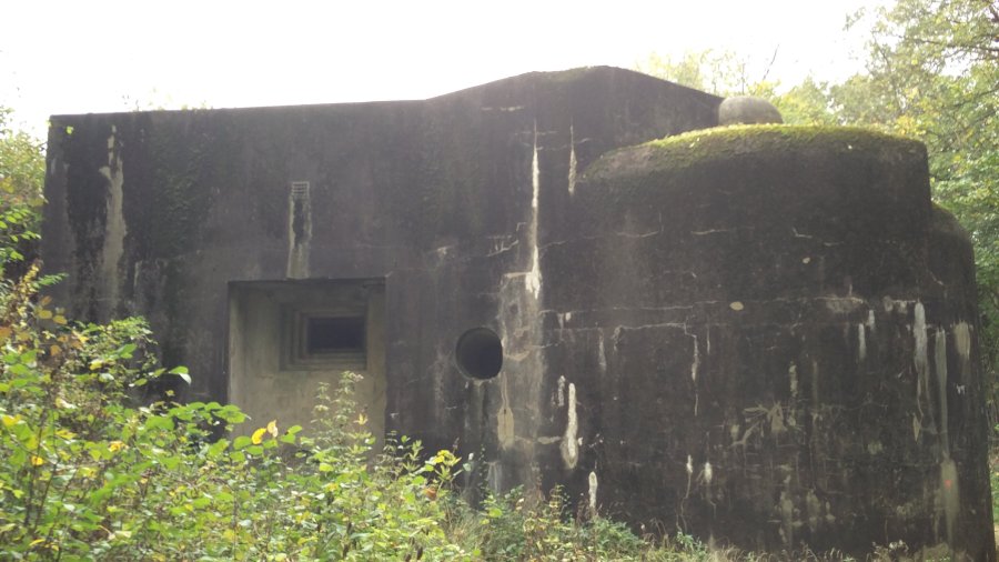 fuerte Eben Email Belgica