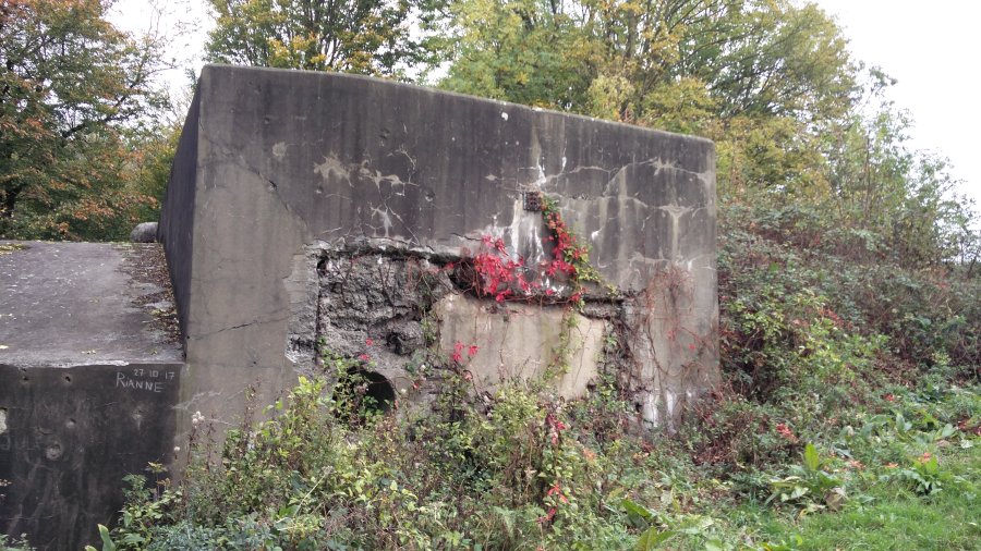 fuerte Eben Email Belgica